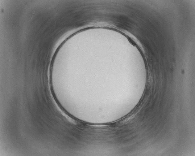 X0000081631343200702121655