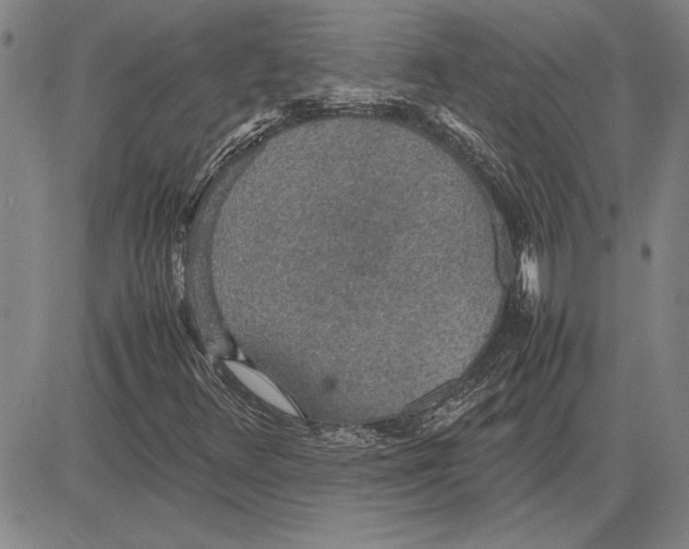 X0000081631348200702121654