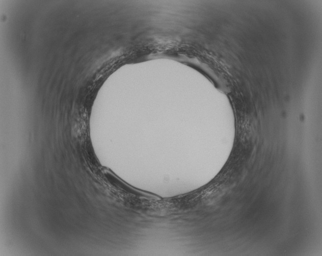 X0000081631349200702121654