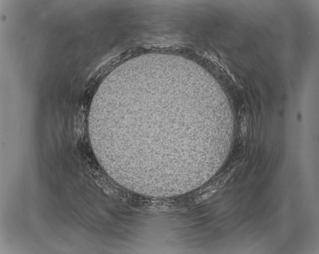 X0000081631350200702121654