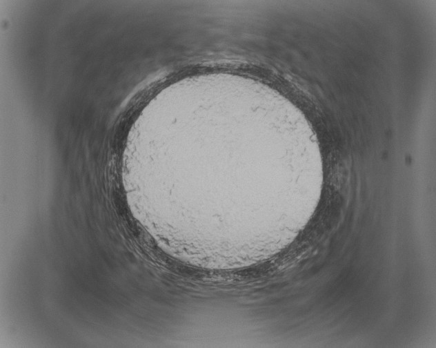 X0000081631351200702121654