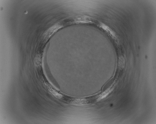 X0000081631353200702121654