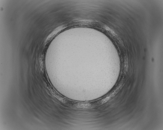 X0000081631354200702121654