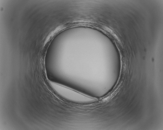 X0000081631357200702121654