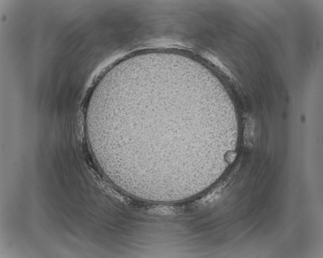 X0000081631358200702121654