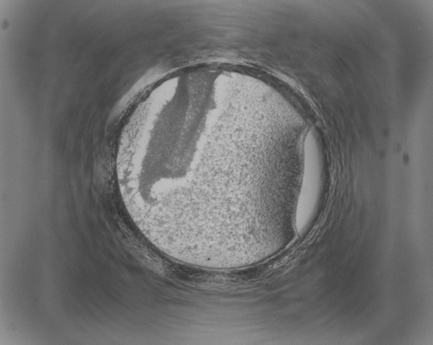 X0000081631359200702121654