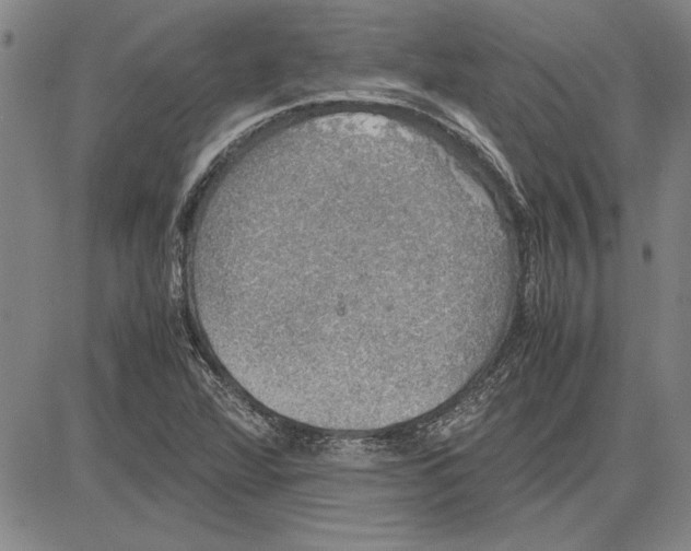 X0000081631360200702121654