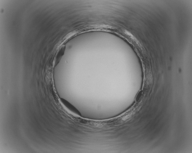 X0000081631361200702121654