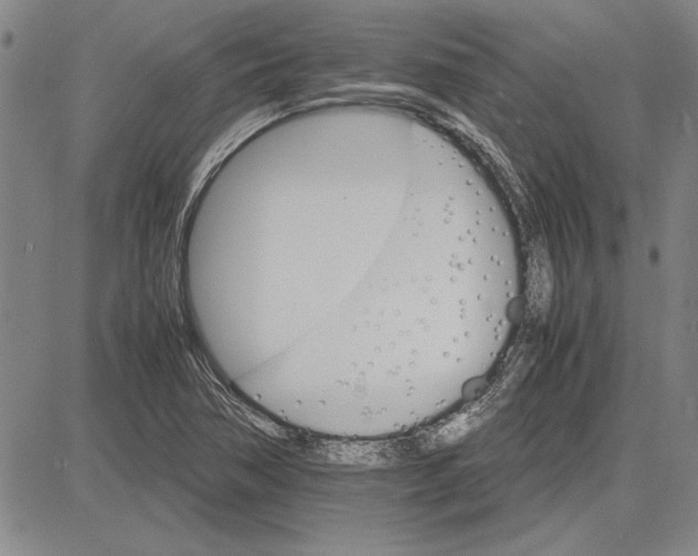 X0000081631362200702121654