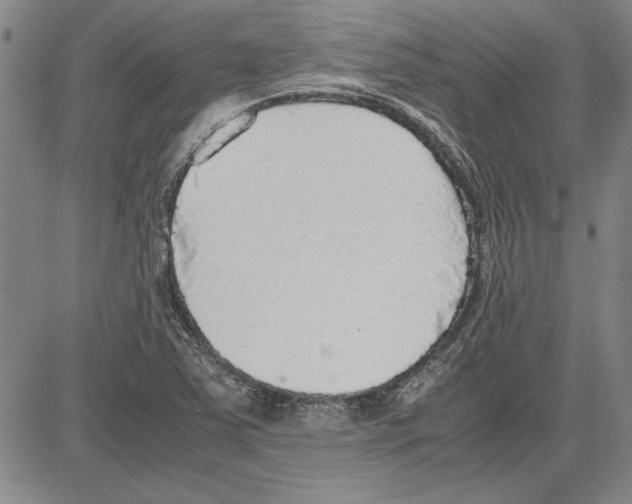 X0000081631363200702121654