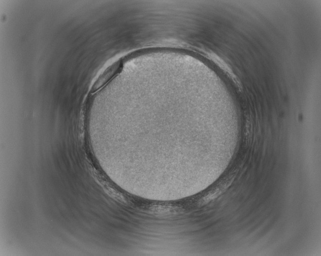 X0000081631364200702121654