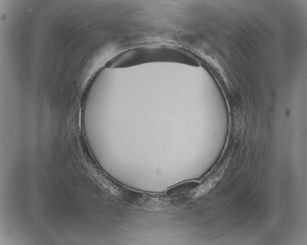 X0000081631365200702121654