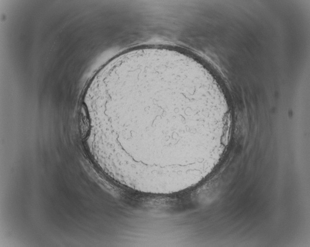 X0000081631367200702121654