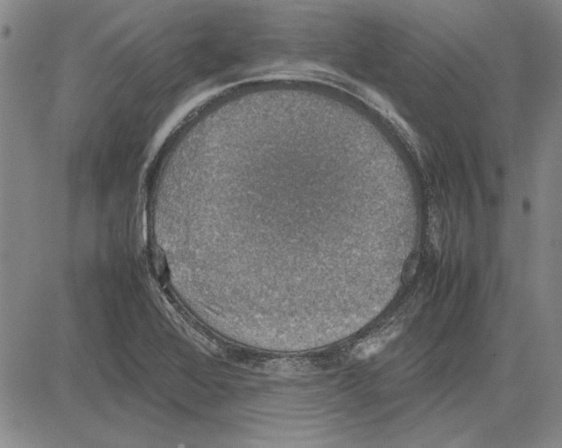 X0000081631368200702121654