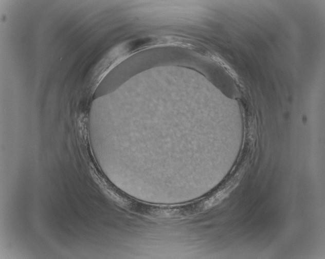 X0000081631369200702121654