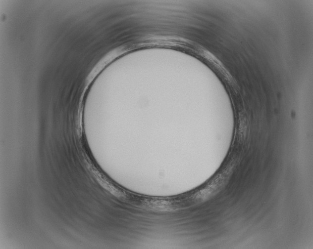 X0000081631370200702121654