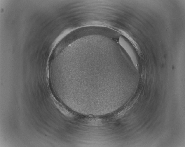 X0000081631372200702121654