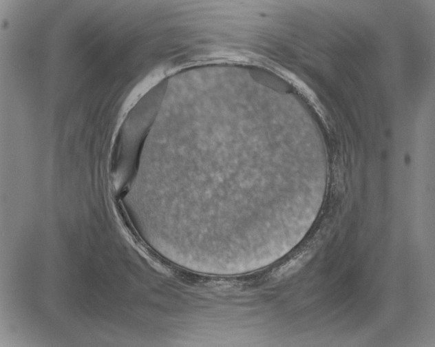 X0000081631373200702121654