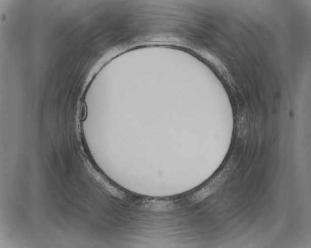 X0000081631374200702121654