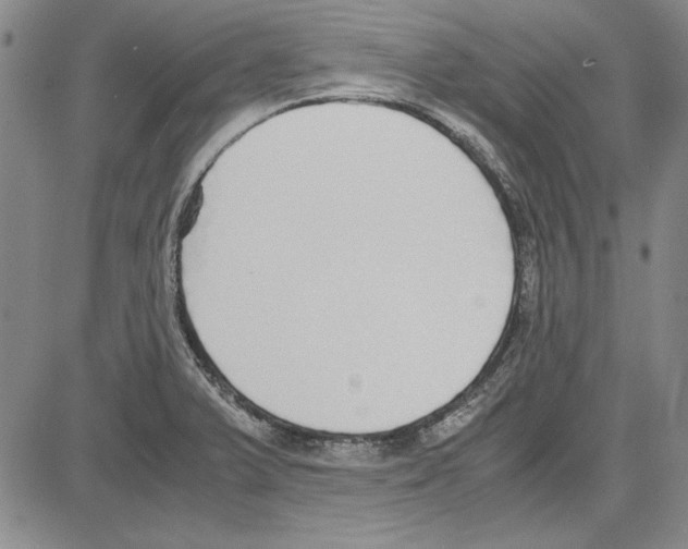 X0000081631375200702121654