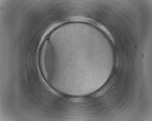 X0000081631376200702121654