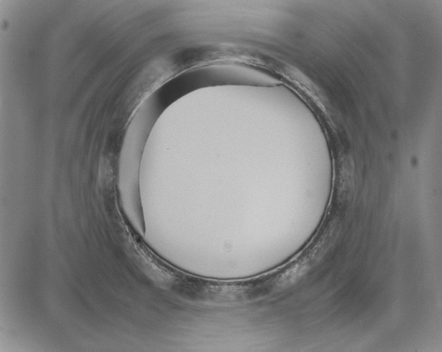 X0000081631377200702121654