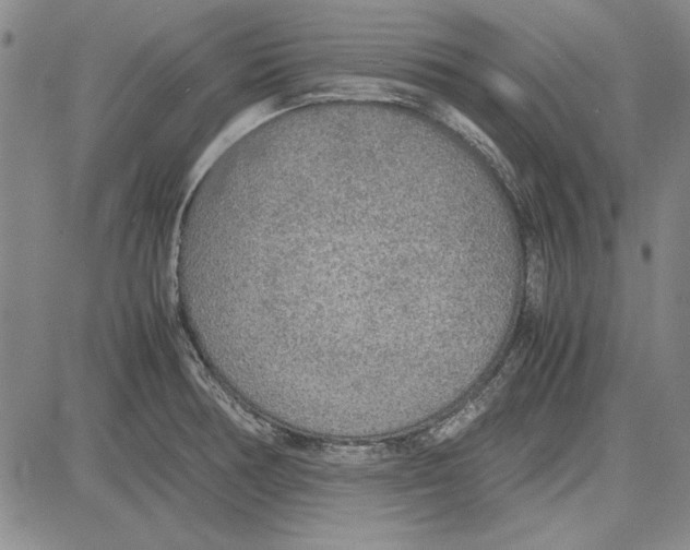 X0000081631378200702121654