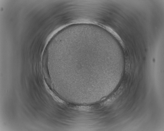 X0000081631380200702121654