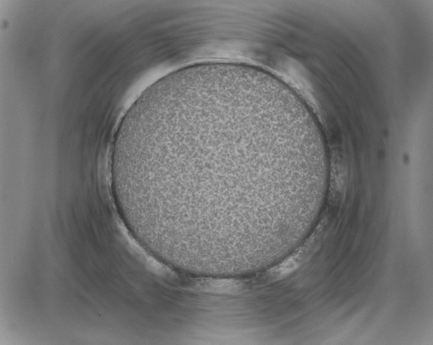 X0000081631382200702121654