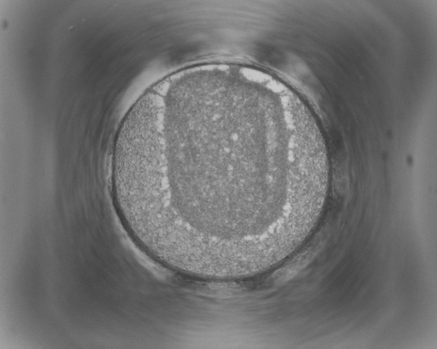 X0000081631383200702121654