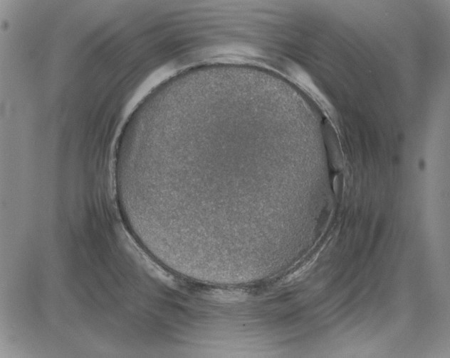 X0000081631384200702121654