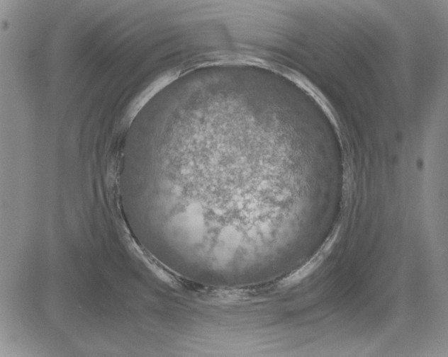 X0000081631385200702121654