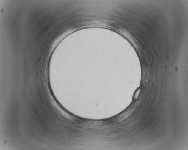 X0000081631387200702121654