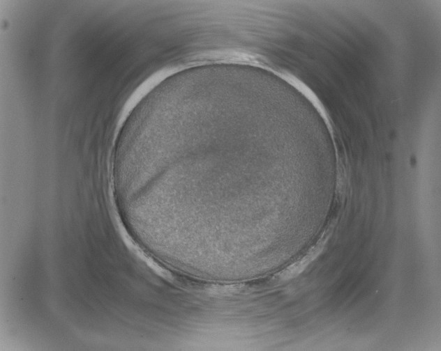 X0000081631389200702121654