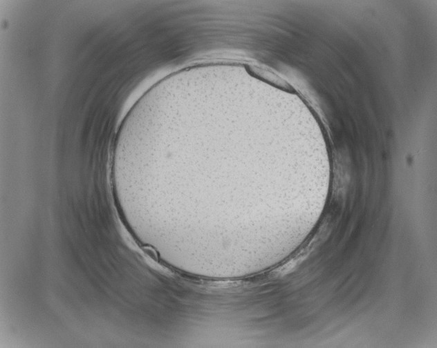 X0000081631390200702121654