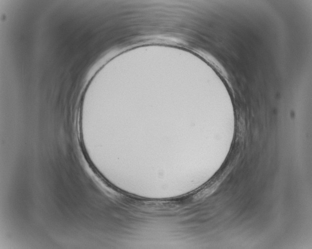 X0000081631391200702121654