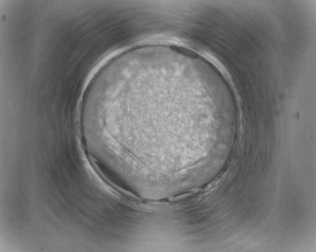 X0000081631392200702121654