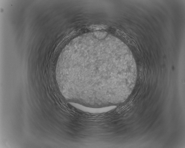 X0000081631393200702121653