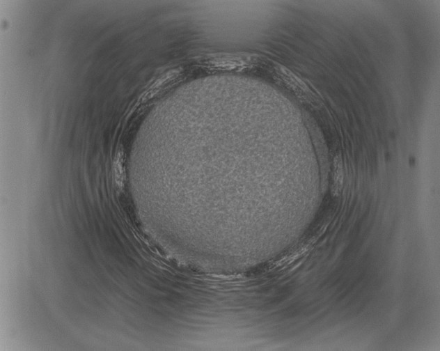 X0000081631394200702121653