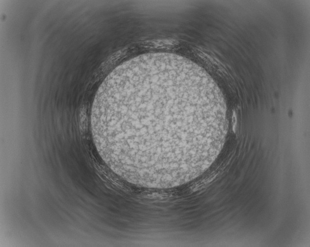 X0000081631395200702121653