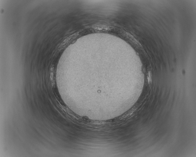 X0000081631396200702121653