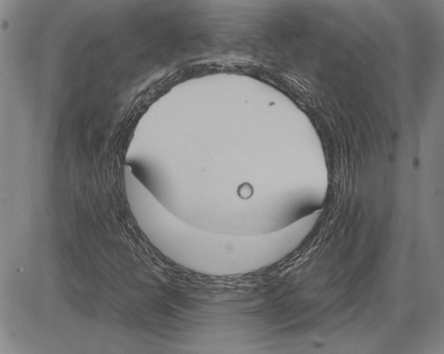 X0000081631398200702121653