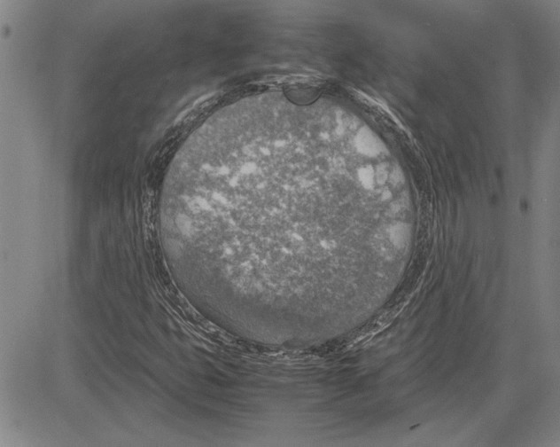 X0000081631399200702121653