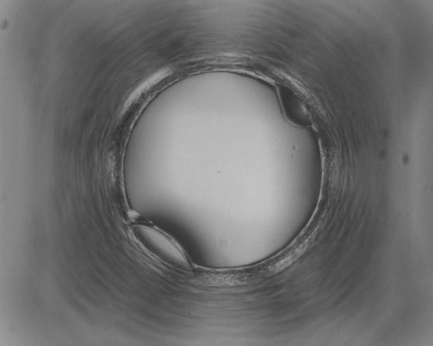 X0000081631402200702121653