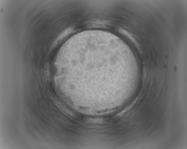 X0000081631403200702121653