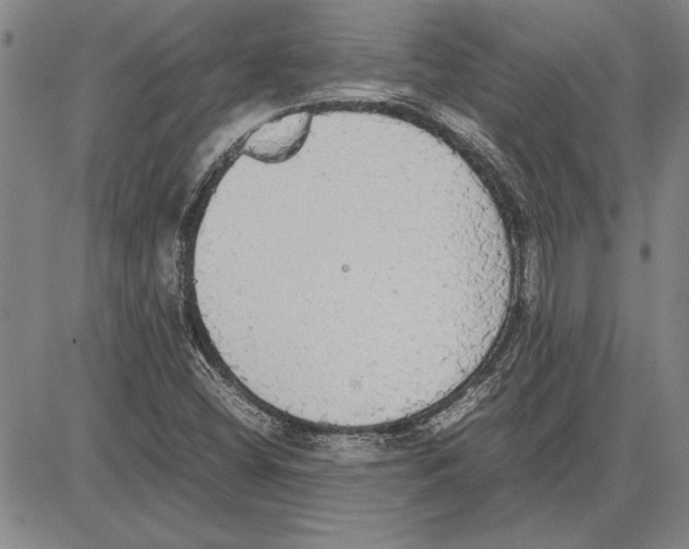 X0000081631404200702121653