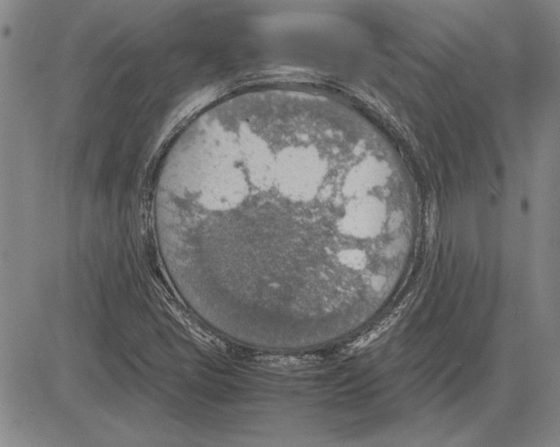 X0000081631405200702121653