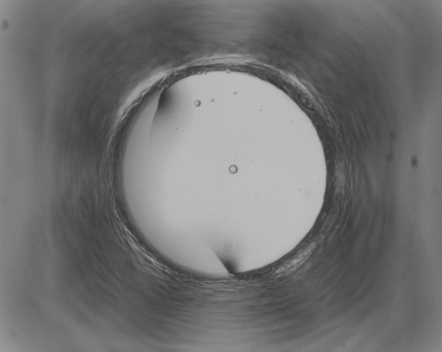 X0000081631406200702121653