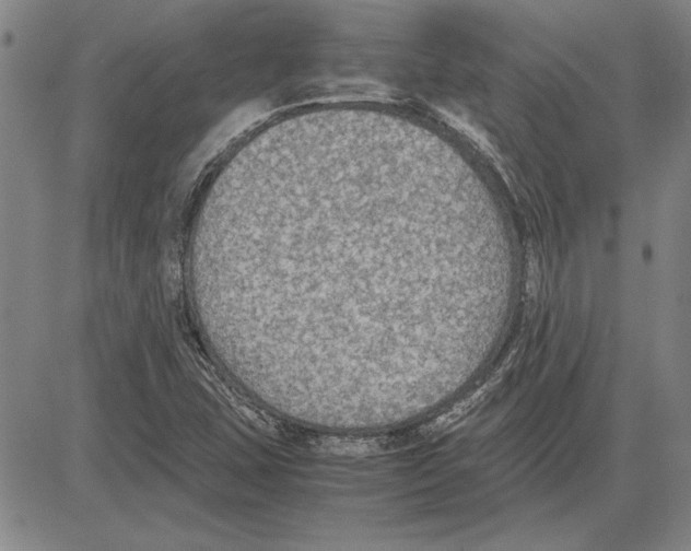 X0000081631407200702121653