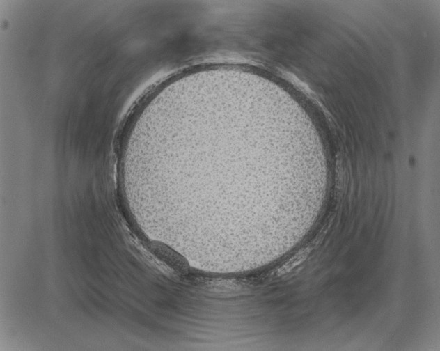 X0000081631408200702121653